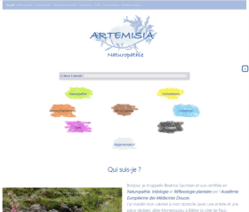 Image accueil site Artémisia